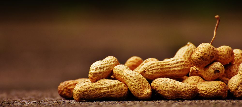 Groundnut in Shell